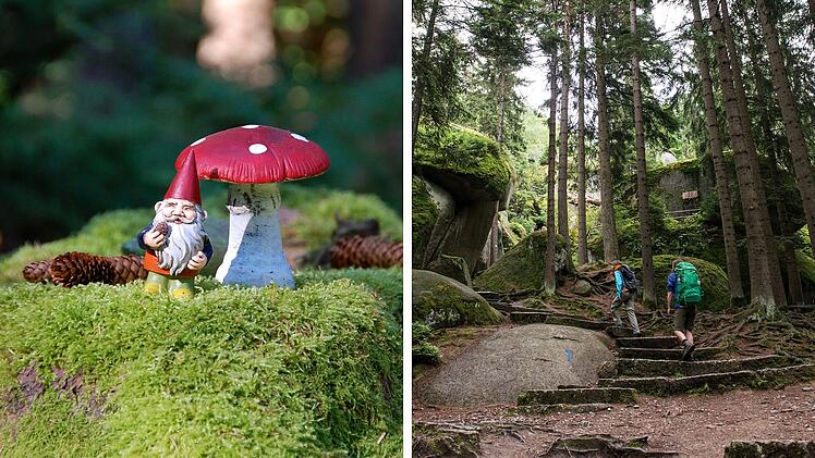 SplitImage 1763635706