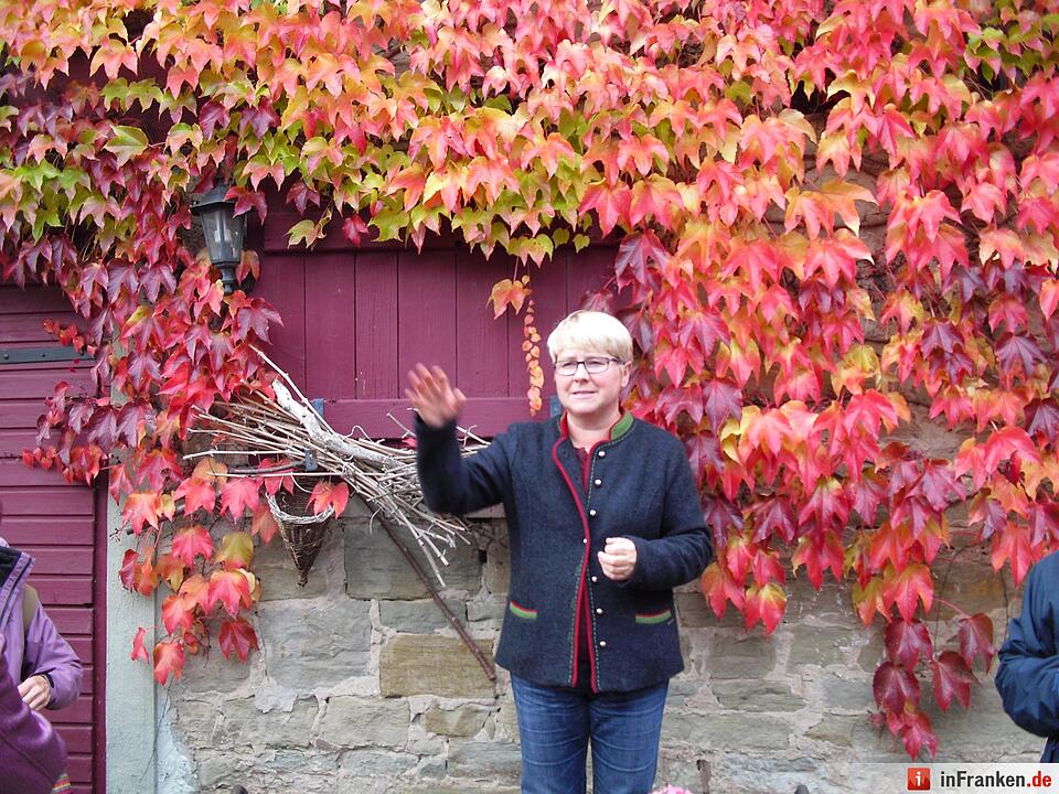 ABO Plus Bus-Wander-Tour Handthal_29.10.2016