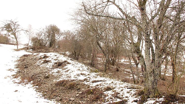 Leseriegel bei Münnerstadt.Heike Beudert