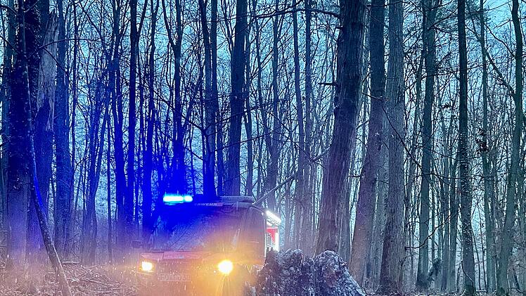 Forchheim: Brand in Wald