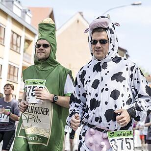 Weltkulturerbelauf 2017 in Bamberg: Der Wieland-Lauf