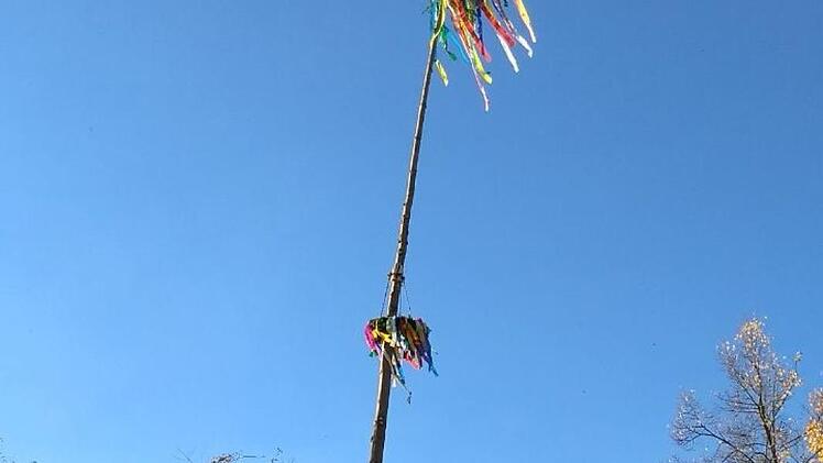 Der Baum steht