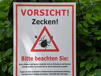Warnung vor Zecken