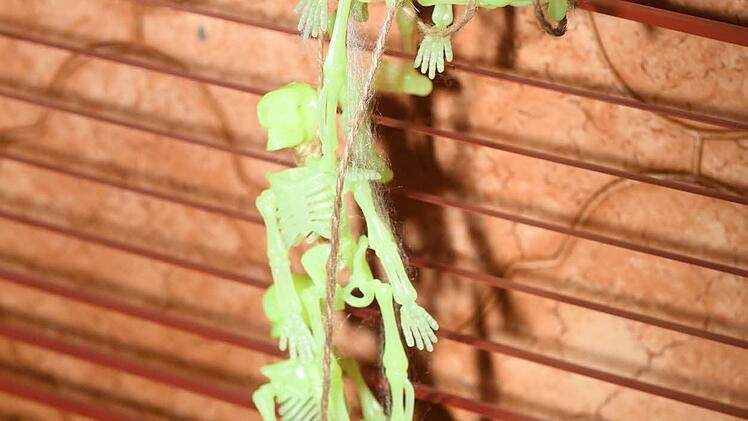 Impressionen aus dem Halloween-Haus in Dörfles-Esbach Foto: Ronald Rinklef
