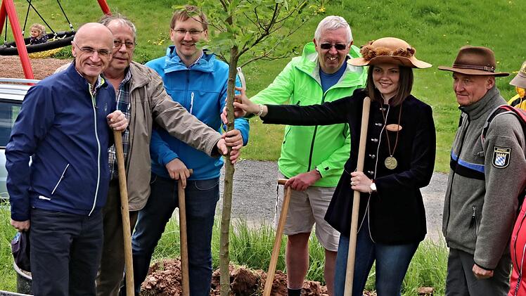 Die Esskastanie, der "Baum des Jahres", ist mit gemeinsamer Kraftanstrengung gepflanzt. Auf dem Foto sind (von links) Landrat Wilhelm Schneider, Wanderwart Ernst Frankenberg, Bürgermeister Wolfram Thein, DVV-Präsident Uwe Kneibert, Baumkönigin Anne Köhler und Förster Wolfgang Meiners.Helmut Will