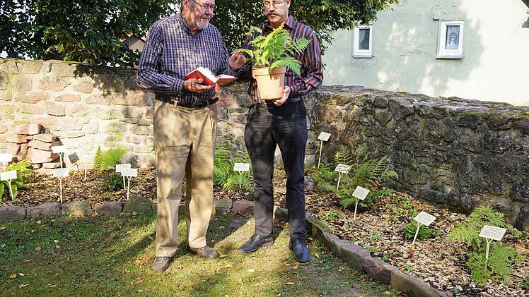 Bernd Otto (von links) und Joachim Weichert haben die Farne in Spezialgärtnereien bestellt. Foto: Julia Raab