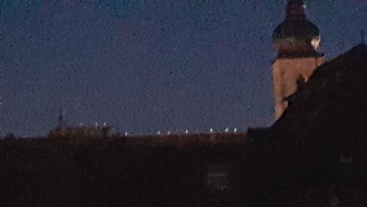 Auch Ulrike Nöth, die in der Spitalstraße wohnt, hat die Storchenversammlung in Forchheim beobachtet.