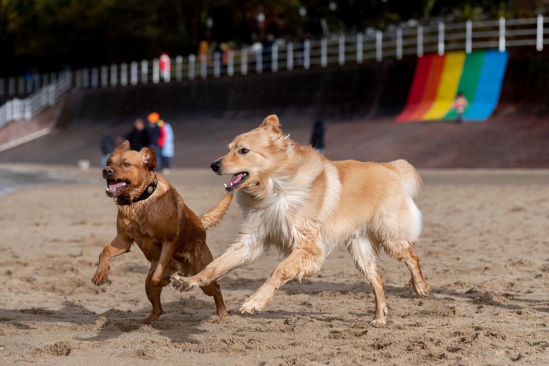 Wetter in Niedersachsen - Dangast
