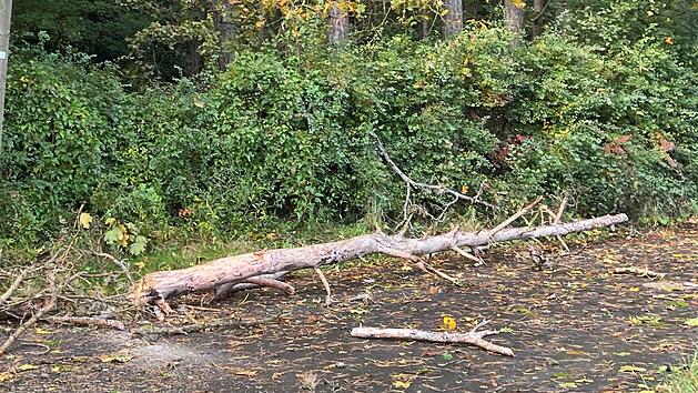 Wilhelmsthal: Zwei Polizisten w&auml;hrend Ex-Hurrikan Kirk verletzt - "gef&auml;hrlicher Moment"