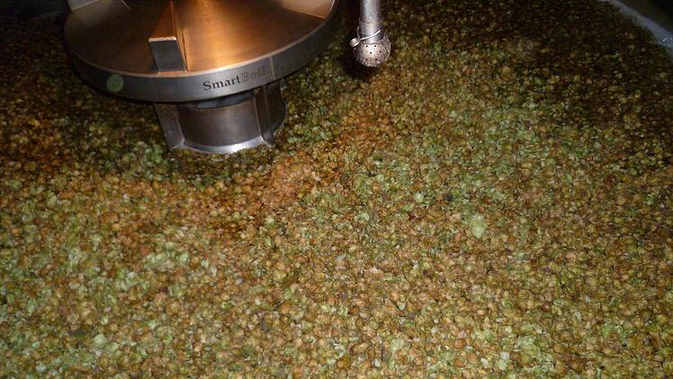 Der Kronacher Hopfen auf dem Biersud, vor dem Kochen. Foto: Corinna Igler