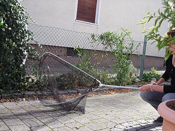Auch so hat Doris B. schon versucht, den Phantom-Hund zu fangen.Fotos: privat