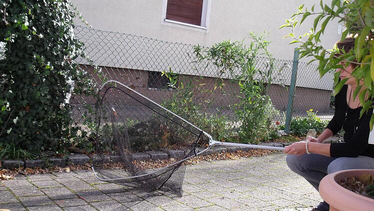 Auch so hat Doris B. schon versucht, den Phantom-Hund zu fangen.Fotos: privat
