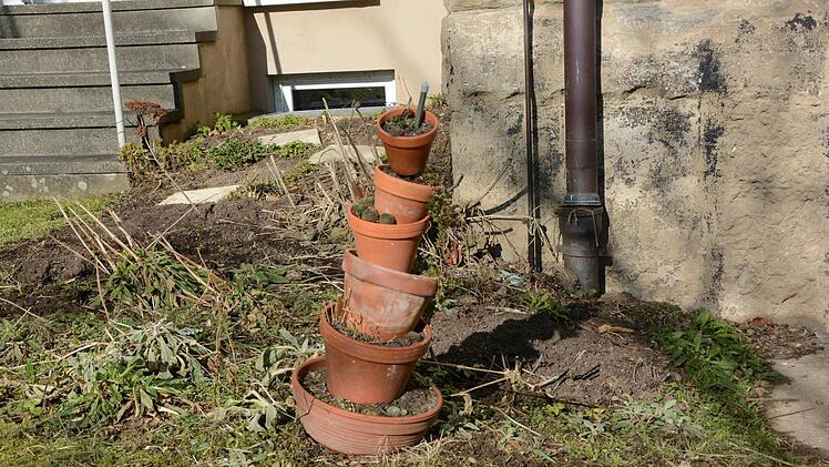 Das Staudenbeet neben dem Zugang zum Schulhaus braucht eine Auffrischung. Foto: Dagmar Besand