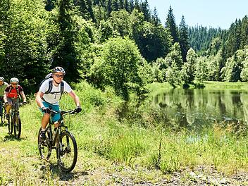 Tourismus, Lebensqualität, Land- und Forstwirtschaft - es gibt viele Themenbereiche, die von einem Nationalpark Frankenwald berührt werden würden. In den kommenden Wochen soll sich dazu ein reger Dialog entwickeln.  Foto: Frankenwald-Tourismus/Marco Felgenhauer
