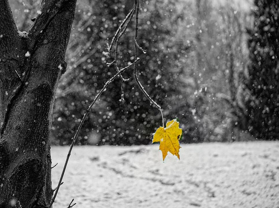 Winter in Franken