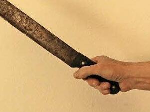 Mit einer solchen Machete, die vor allem als Arbeitsgerät eingesetzt wird, schlug der 42-Jährige in Bad Staffelstein zu. Foto: Matthias Einwag