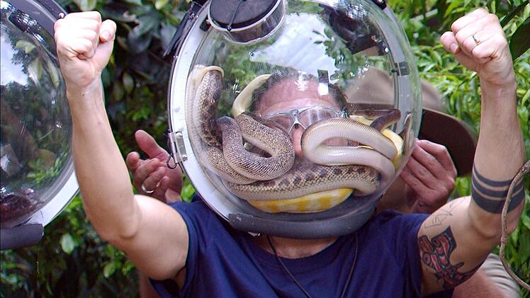 Souver&auml;ne Leistung: Auch bedr&auml;ngt von gleich mehreren Schlangen behielt der Musiker die Nerven. Gil holte in der Dschungelpr&uuml;fung die volle Punktzahl!