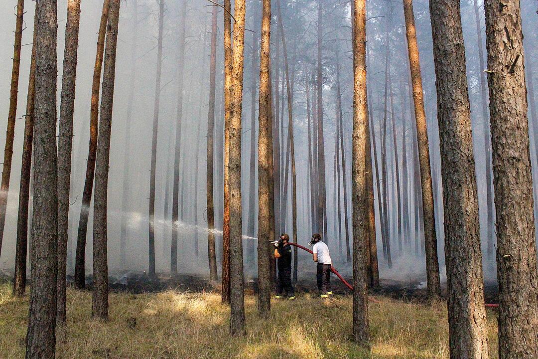 Großer Waldbrand bei Potsdam