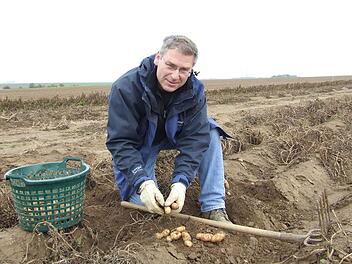 Der Landwirt Rainer Lesch gilt als Vorsitzender des Fördervereins "Bamberger Hörnla e.V. "zusammen mit seinen Mitstreitern als Bewahrer des Bamberger Hörnla. Foto: Antje Rosco