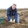 Der Landwirt Rainer Lesch gilt als Vorsitzender des Fördervereins "Bamberger Hörnla e.V. "zusammen mit seinen Mitstreitern als Bewahrer des Bamberger Hörnla. Foto: Antje Rosco