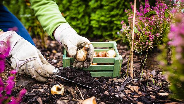 Foto: iMarzi - stock.adobe.com