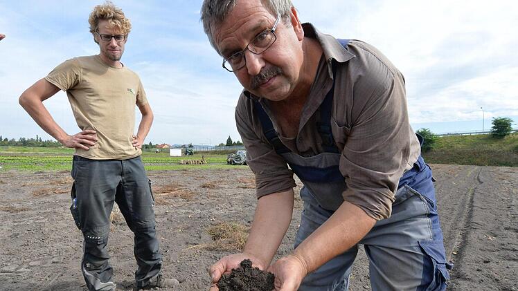 Kommt der Bahnausbau wie geplant, wächst hier kein Gemüse mehr. Ein Verbindungsgleis könnte sogar das Grundwasser steigen lassen. Michael und Sebastian Niedermaier in der Bamberger Nordflur. Foto: Ronald Rinklef