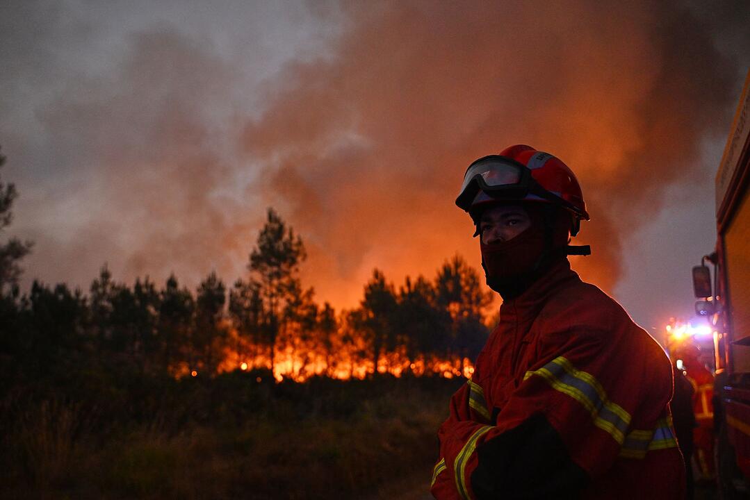 Waldbr&auml;nde in Frankreich