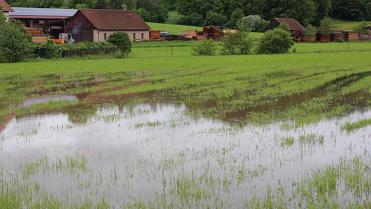 Eine überschwemmte Wiese bei Frickendorf. Fotos: Eckehard Kiesewetter (3)