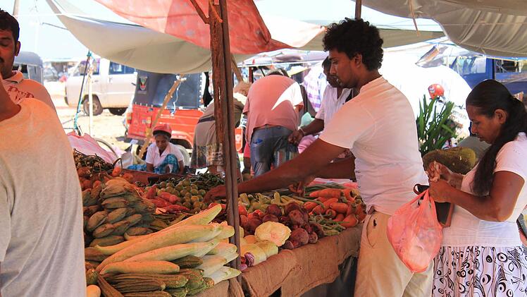 Auf dem Markt in Sri Lanka Foto: privat