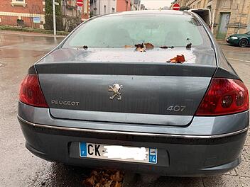 Dieser Peugeot mit französischem Kennzeichen stand fast zwei Monate lang im absoluten Halteverbot.