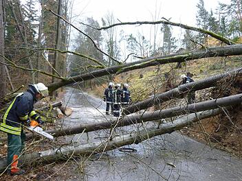 Einige Einsätze wegen des Sturms "Niklas" hatte gestern die Kronacher Feuerwehr - vor allem wegen umgefallener Bäume. Oberhalb der Bamberger Straße hat ein gebrochener Ast eine Stromleitung reißen lassen. Der Verkehr wurde von der Feuerwehr geregelt. Fotos: Wicklein/Steffens