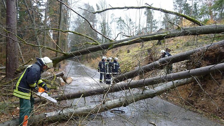 Einige Einsätze wegen des Sturms "Niklas" hatte gestern die Kronacher Feuerwehr - vor allem wegen umgefallener Bäume. Oberhalb der Bamberger Straße hat ein gebrochener Ast eine Stromleitung reißen lassen. Der Verkehr wurde von der Feuerwehr geregelt. Fotos: Wicklein/Steffens