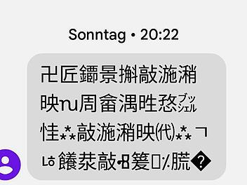 Die  Alarmierung erfolgt in chinesischen Schriftzeichen. Der Inhalt ist unlesbar und bedeutungslos, sagt eine  junge Chinesin, die am Campus in Kulmbach studiert und für uns den Text übersetzen sollte.  Screenshot: Redaktion