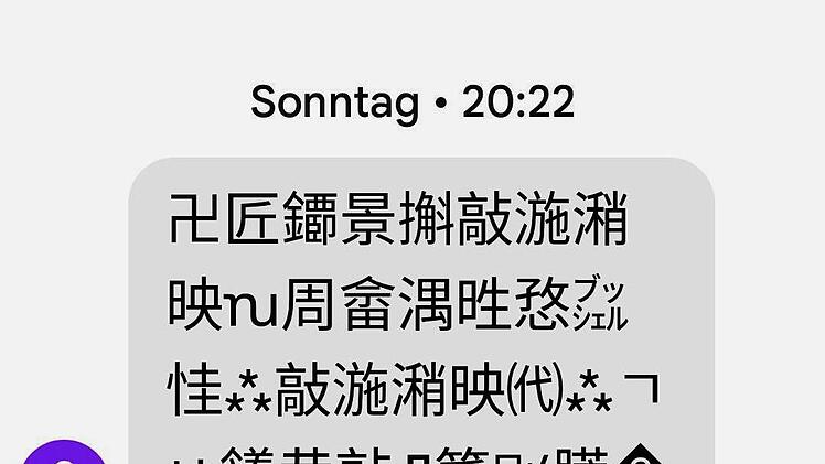 Die  Alarmierung erfolgt in chinesischen Schriftzeichen. Der Inhalt ist unlesbar und bedeutungslos, sagt eine  junge Chinesin, die am Campus in Kulmbach studiert und für uns den Text übersetzen sollte.  Screenshot: Redaktion