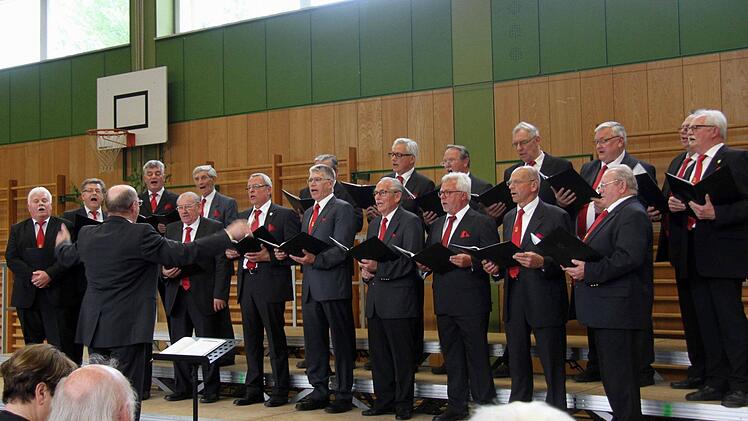 Der Männergesangverein Fidelia Münchaurach  Foto: Richard Sänger