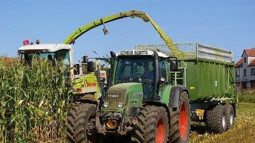 Die Maisernte ist im vollen Gang.Amt f&uuml;r Landwirtschaft
