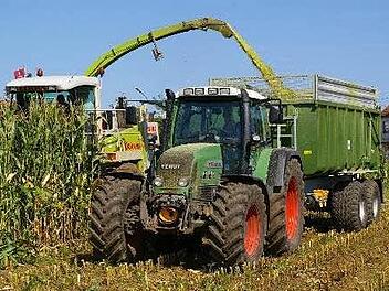 Die Maisernte ist im vollen Gang.Amt f&uuml;r Landwirtschaft