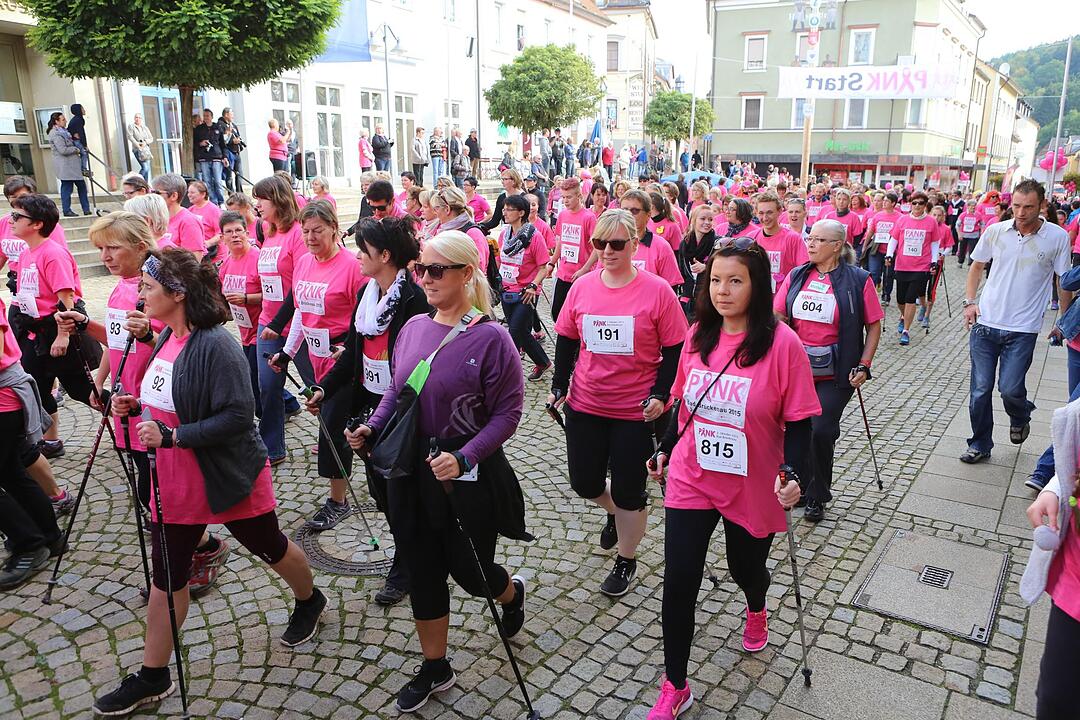 Pinklauf 2015