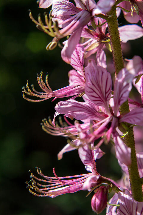 Fotos Konrad Thomann