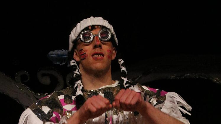 Prunksitzung 2019 in Stadtsteinach. Foto: Jürgen Gärtner