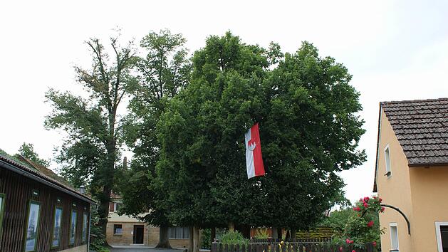 Das Areal rund um die Limmersdorfer Tanzlinde soll in den kommenden Jahren Stück für Stück attraktiviert werden.  Am Montag wurde der Förderbescheid für die Sanierung des alten Gemeindehauses (im Hintergrund) übergeben. Foto: Archiv