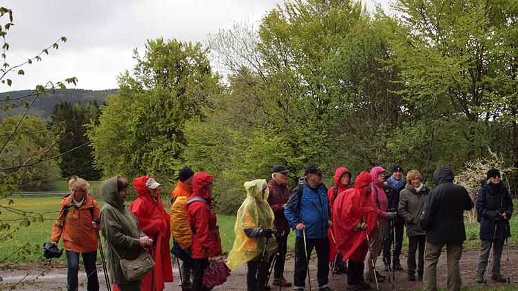 Das Foto zeigt die Gruppe in der Nähe des Schwedenwalls. Heinz Krausenberger, der diese Hochrhöner-Wanderung für Senioren geplant hat, gibt Erklärungen zur Geschichte des Walls.  Hans-Jürgen Neumann