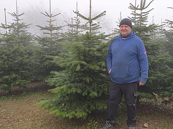 Die Arbeit in seinen Weihnachtsbaumkulturen rund um Vorderreuth beschäftigt Uwe Witzgall das ganze Jahr über. Foto: Christine Fischer
