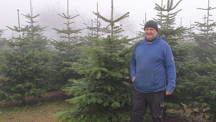 Die Arbeit in seinen Weihnachtsbaumkulturen rund um Vorderreuth beschäftigt Uwe Witzgall das ganze Jahr über. Foto: Christine Fischer