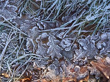 Bodenfrost-Alarm in Franken: So wird das Wetter diese Woche