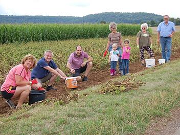 Nicht nur viele Burgläurer und Bürger aus umliegenden Gemeinden, sondern auch die beiden Bürgermeister aus Burglauer und Niederlauer, Marco Heinickel und Holger Schmitt, nutzen das Angebot von der Burgläurer Landwirtsfamilie Back, ihre Kartoffeln auf einem Acker selbst zu lesen. Im Bild unter anderem Doris Beck, Marco Heinickel, Holger Schmitt und ganz rechts Landwirt Albert Back.  Foto: Manfred Mellenthin