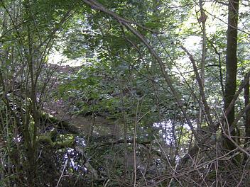 Foto: Petra Malbrich