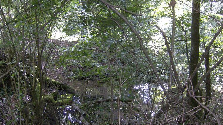 Foto: Petra Malbrich