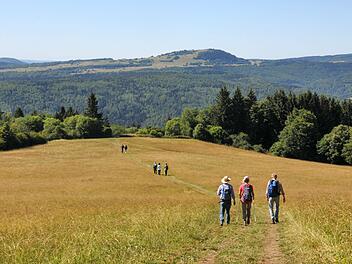 Die drei Autoren (Dr. R. Cornelius, Gunhild Classen, Prof. Albrecht Classen aus den USA ) sind hier  am Farnsberg , im Hintergund der Auersberg des Truppenübungsplatzes Wildflecken unterwegs. Foto: Veronica Cornelius