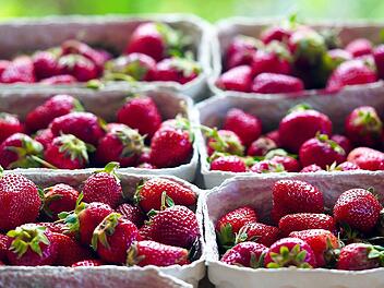 Mit diesen 5 Tricks bleiben deine Erdbeeren länger haltbar